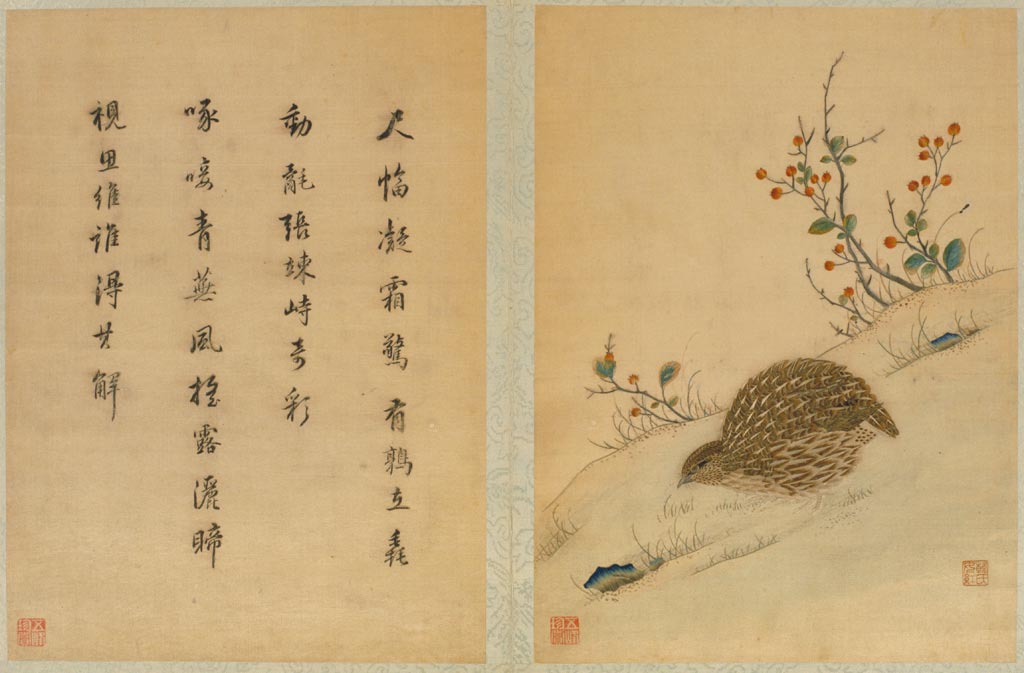 《韩希孟宋元名迹册·鹑鸟图》